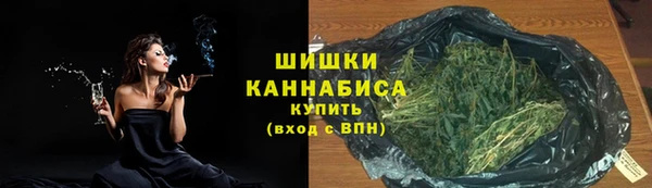 тгк Лиски