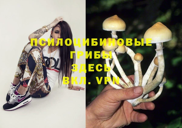крисы Липки