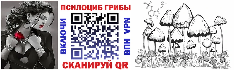 блэк спрут онион  Щучье  Псилоцибиновые грибы Cubensis 