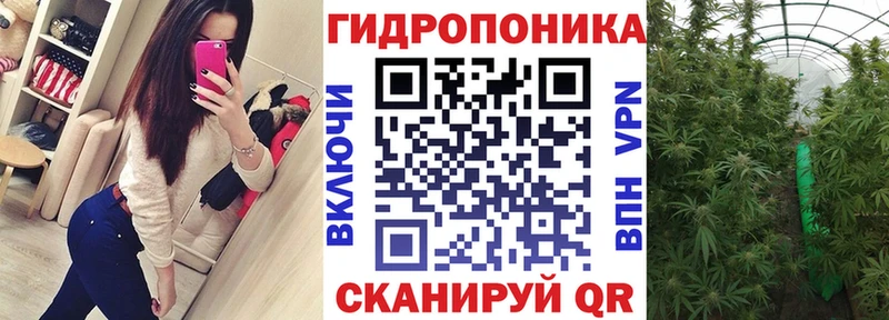 Шишки марихуана SATIVA & INDICA кракен ONION Щучье купить наркотики цена